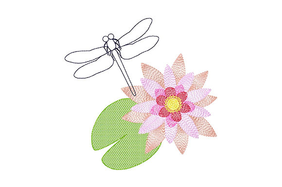 Dragonfly and Water Lily: A Designer’s Review