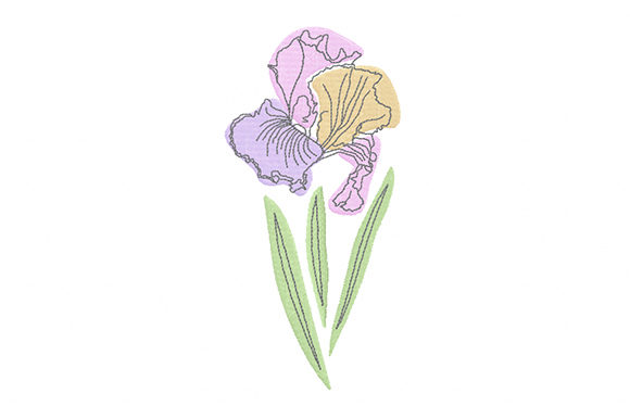 Pastel Iris Flower: A Designer’s Review for Boutique Apparel