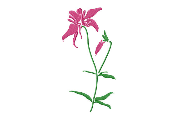 Pink Columbine Flower: A Designer’s Holiday Review