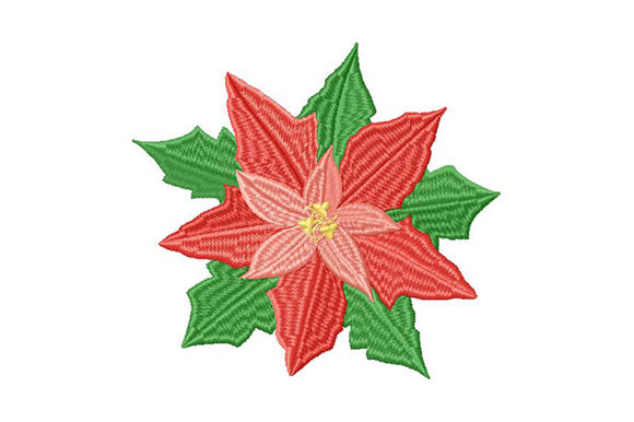 Poinsettia Christmas Star: A Designer’s Review