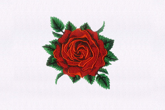 Red Rose Embroidery: A Designer’s Review