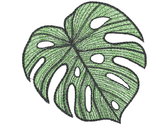 Reviewing Elephant Ear Leaf for Holiday Collections