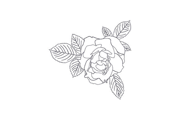 Rose Bud with Three Leaves: A Designer’s Review